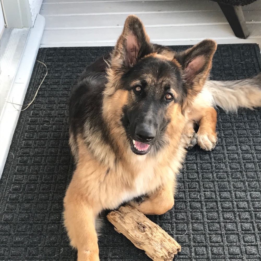 Meet your Posher, Noreen